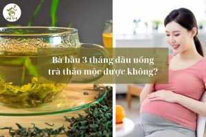 bau 3 thang dau uong tra thao moc duoc khong