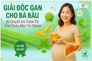 giai doc gan cho ba bau