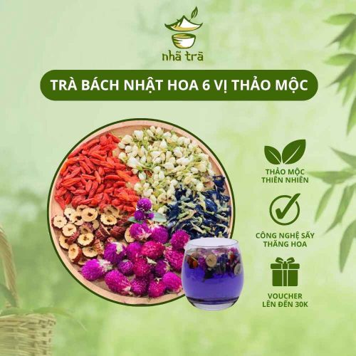 tra bach nhat hoa 6 vi