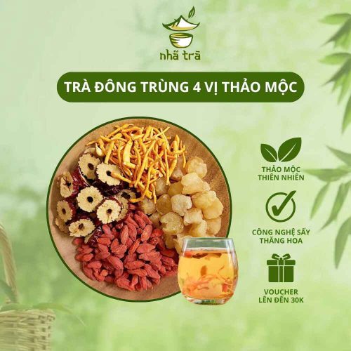 tra dong trung tu vi