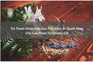 tra thanh nhiet mat gan tieu doc