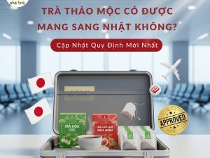 tra thao moc co duoc mang sang nhat khong