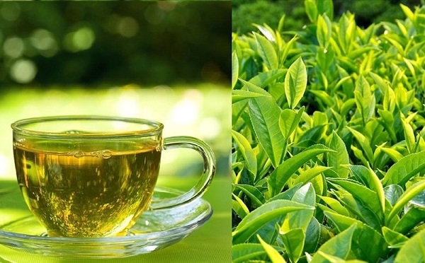 tra xanh Các loại trà tốt cho sức khỏe phụ nữ